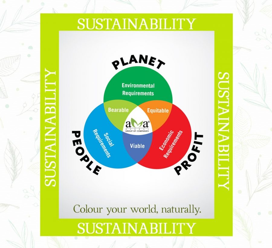 our-project-languages-of-sustainability